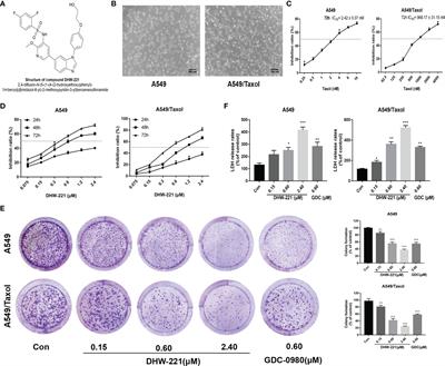 DHW-221, a Dual PI3K/mTOR Inhibitor, Overcomes Multidrug Resistance by Targeting P-Glycoprotein (P-gp/ABCB1) and Akt-Mediated FOXO3a Nuclear Translocation in Non-small Cell Lung Cancer